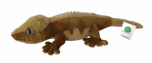 Adore ciglia il geco - 20",