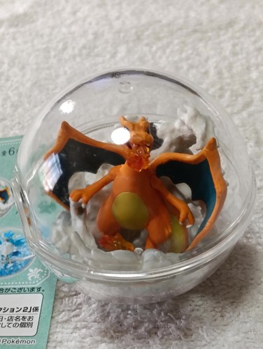 Charizard pokemon collezione - charizard,